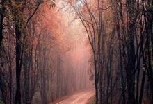 托尼·克罗斯算巨星吗?